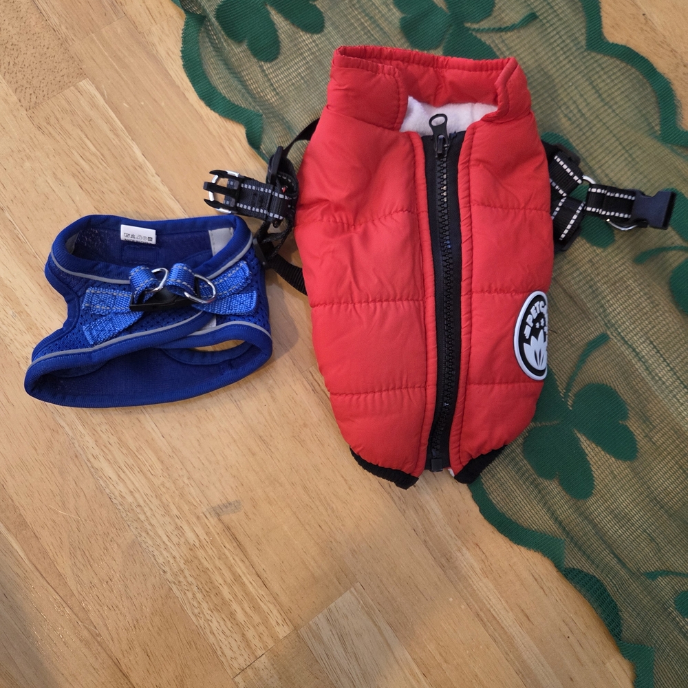 Red Dog Jacket with Black Trim and Logo
